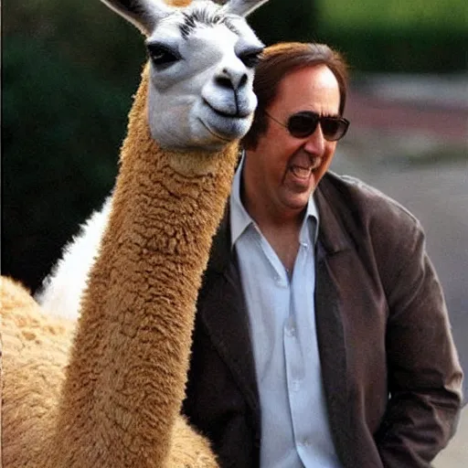 Prompt: nicholas cage is a llama, haha look at silly llama nicholas cage