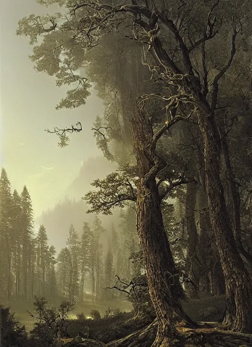 Prompt: a forest with very very tall trees, eerie sparse, epic atmosphere, by asher brown durand, by yoshitaka amano