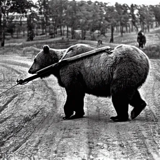 Prompt: a picture of a enormous bear pulling a towed artillery piece behind him like a horse, eastern front, historical picture