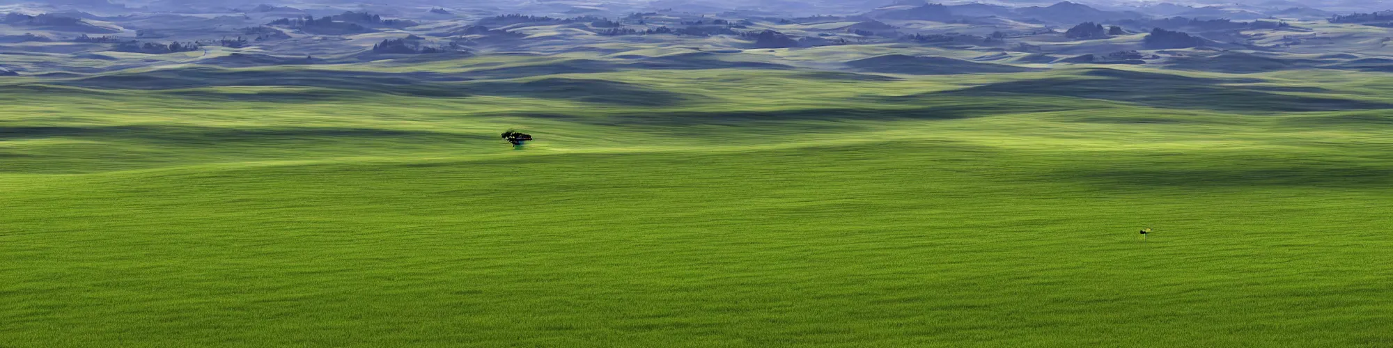 Image similar to windows xp