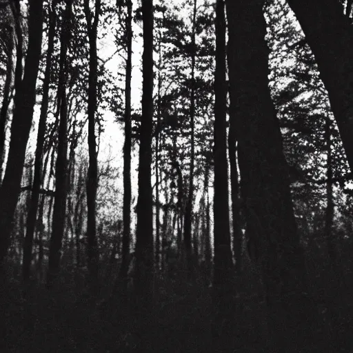 Image similar to grainy trail cam photo still of an alien in the woods at night hiding in the trees of a forest