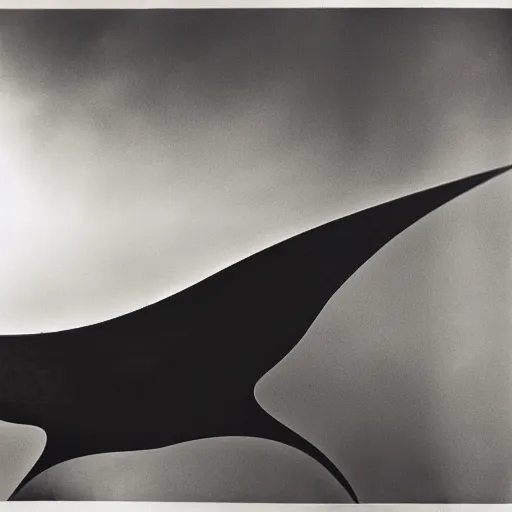 Image similar to a manta ray photographed by man ray