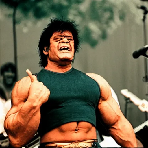 Image similar to hulk performing at woodstock