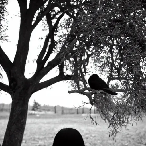 Prompt: a black and white image of a woman with a bird's head, sitting in a tree.