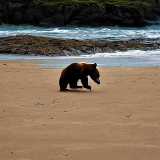 Image similar to breakdancing bear on a beach