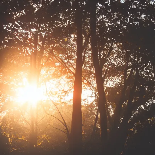 Prompt: closeup photo of tree leafs at sunset, backlighted, foggy, professional photo, nikon d 7 2 0 0, f / 1. 8