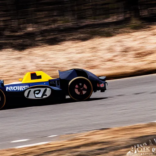 Prompt: a capybara driving a race car, DSLR 15mm, photography