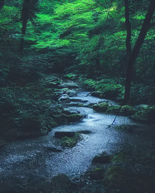 Image similar to a gently flowing stream in the middle of a japanese forest at night, dark and dim lighting, beautiful, tranquil, moody, cinematic, fantasy, 3 5 mm lens, volumetric lighting, first person view, photographic render, hyper realistic