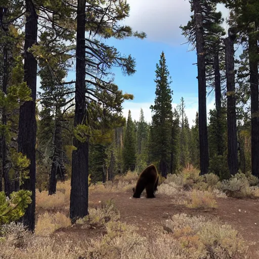 Image similar to a photograph taken in payette national forest with absolutely zero bears