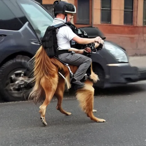 Prompt: a human riding to war on the back of his sheltie dog