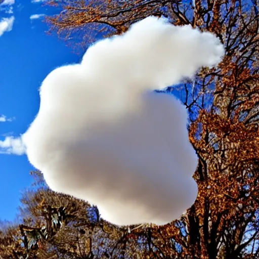 Image similar to a cloud in the shape of a cat, photography