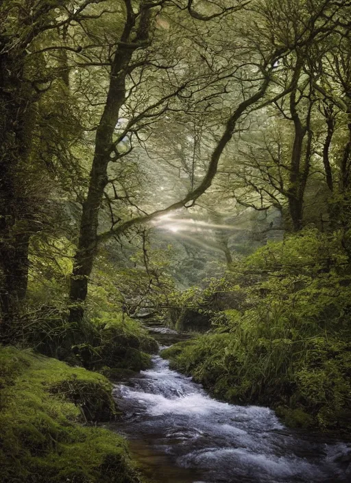 Prompt: there is a place in wales, tucked out of view magic happens, only seen by a few. for just one day, for only just one hour. the last summer's day break at gelli aur. there you must follow a winding trout stream. search all the oaks with a tiny light beam, inspired by jessica rossier and charlie bowater