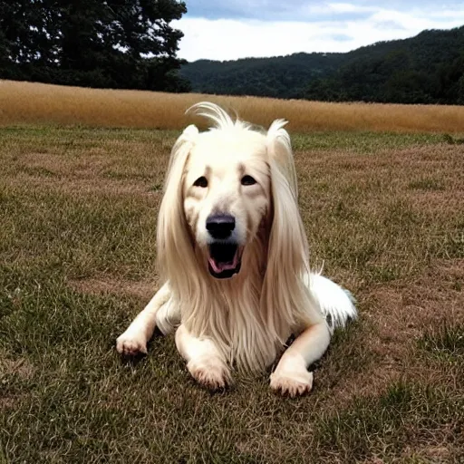 Prompt: the longest dog to ever exist