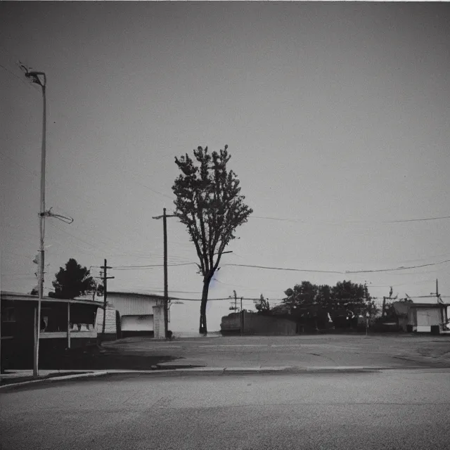 Image similar to the end of the world, photo by william eggelston