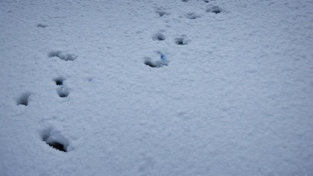 Prompt: The devil's footprints in the snow