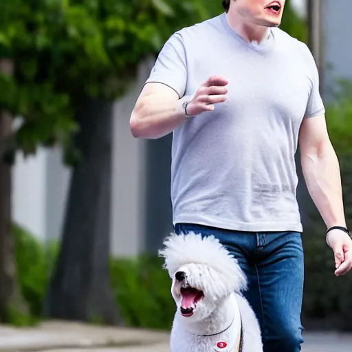 Image similar to a photo of elon musk walking on the street with his big mutant poodle, f 2. 8, 1 0 0 mm lens