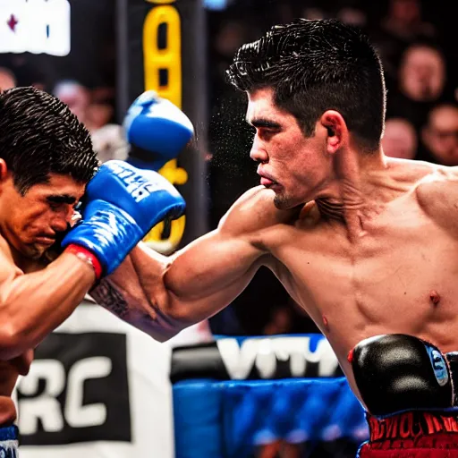 Image similar to chito vera knocks out dominick cruz via headkick, by annie leibovitz and steve mccurry, natural light, detailed face, canon eos c 3 0 0, ƒ 1. 8, 3 5 mm, 8 k, medium - format print