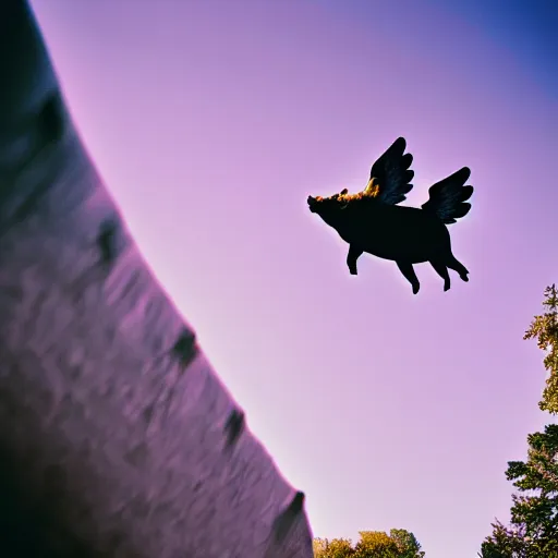 Prompt: national geographic photograph of a flying pig with big pink wings, soaring through the sky. daylight, outdoors, wide angle shot