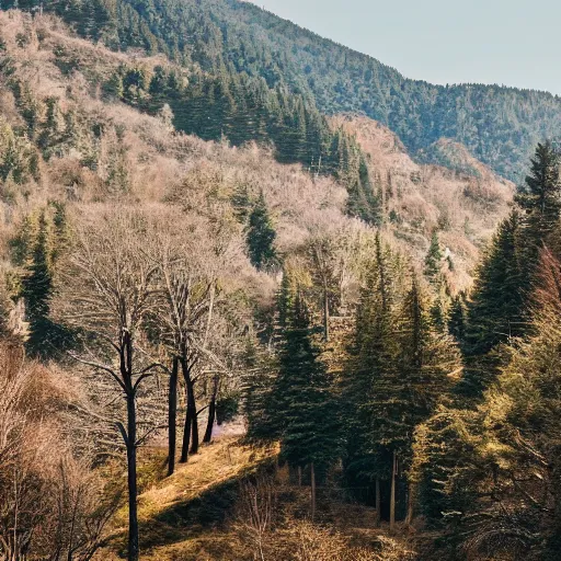 Image similar to sci fi nuclear containment buildings in a steep sided valley with trees and small office buildings, a sense of hope and optimism, birds overhead, stark light, day time, unsplash, national geographic, hd, high res