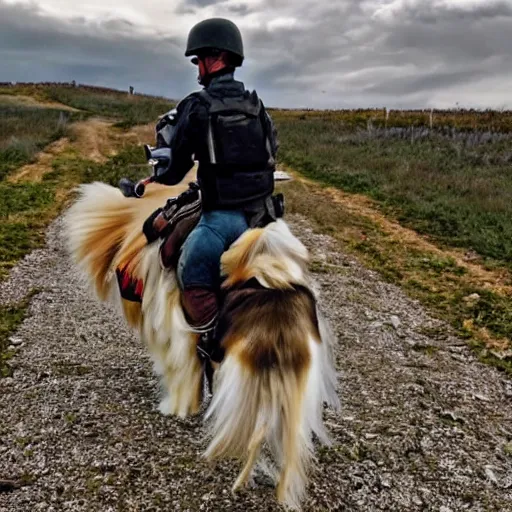 Image similar to a human riding to war on the back of his sheltie dog