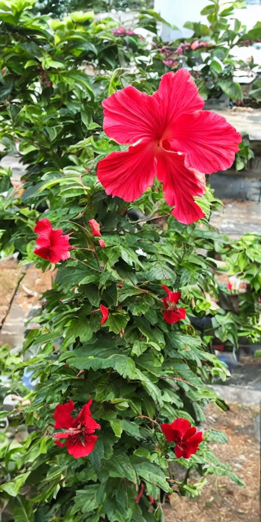 Image similar to a hibiscus plant made of fire