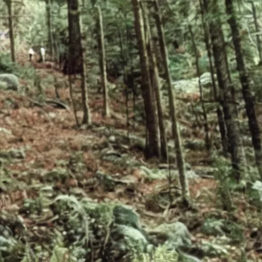 Image similar to A screen capture of found footage video left behind by a missing hiker in 1986