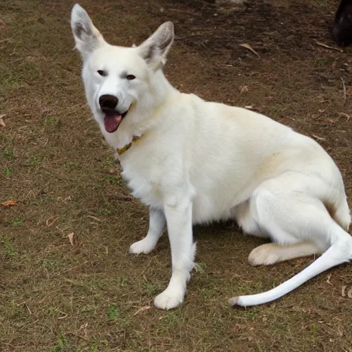 Prompt: idefix enjoying a bone