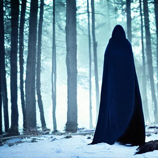 Prompt: professional photograph of tall humanoid creature with wolf skull wearing a full body dark blue blanket in the middle of the forest