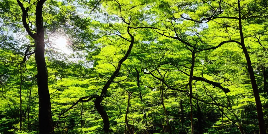 Image similar to a japanese forest on a sunny day