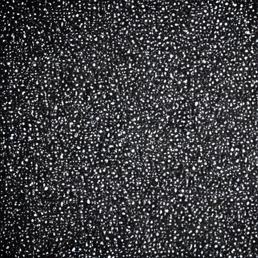 Image similar to dust particles on a black background