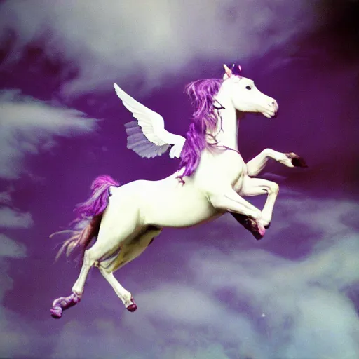 Prompt: a beautiful award winning photo of l a purple unicorn flying in heaven, flickr, annie lebowitz