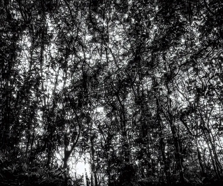 Image similar to a lush dense green forest, colorful glowing vines, black and white wildlife, moon shining, soft tones, night time highly detailed, 50mm
