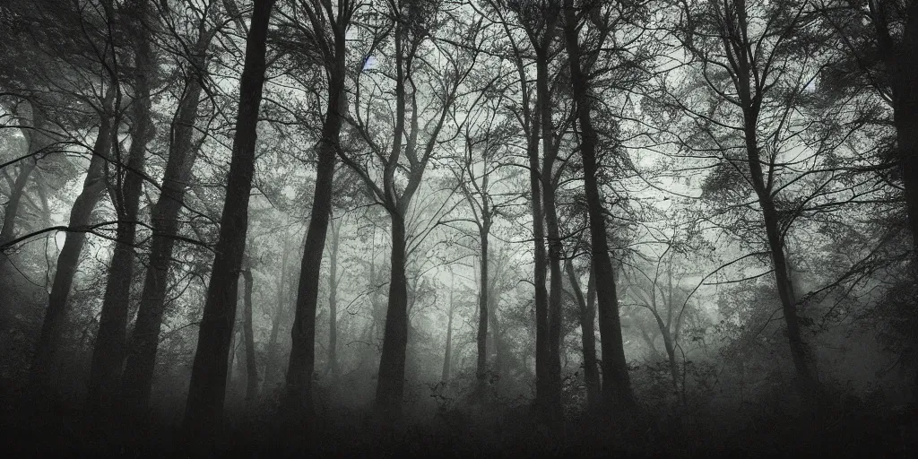 Image similar to abandoned tesla coil in the woods, around everlasting darkness, atmospheric, wide shot, high definition, high detail, foreboding, artstation, foggy