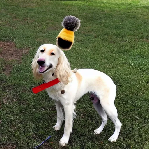 Image similar to dog with a bee as amber heard