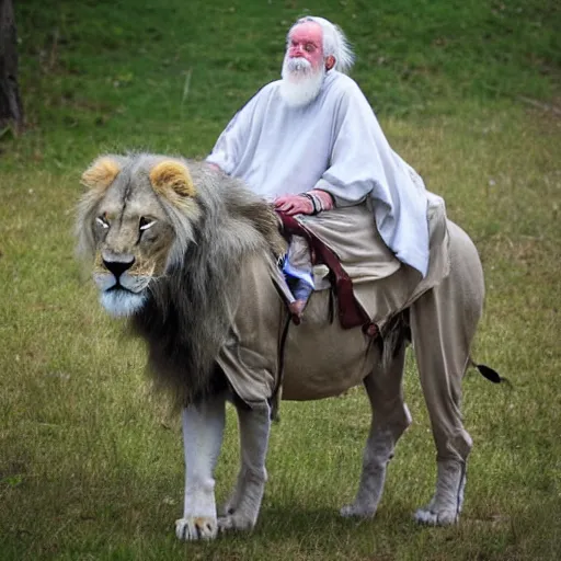 Image similar to old man ( wise long white beard wearing a hooded tunic ) riding on lions back