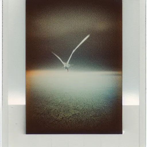 Image similar to seraphim, polaroid, 9 0 s, by rinko kawauchi