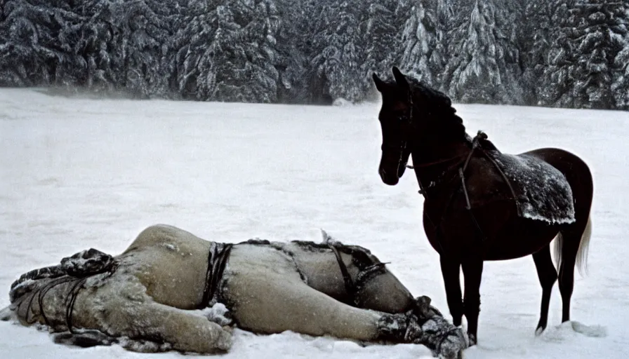 Image similar to 1 9 6 0 s movie still close up of marcus aurelius frozen to death under the snown next to his horse frozen under the snow by the side of a river with gravel, pine forests, cinestill 8 0 0 t 3 5 mm, high quality, heavy grain, high detail, texture, dramatic light, anamorphic, hyperrealistic, detailed hair, foggy