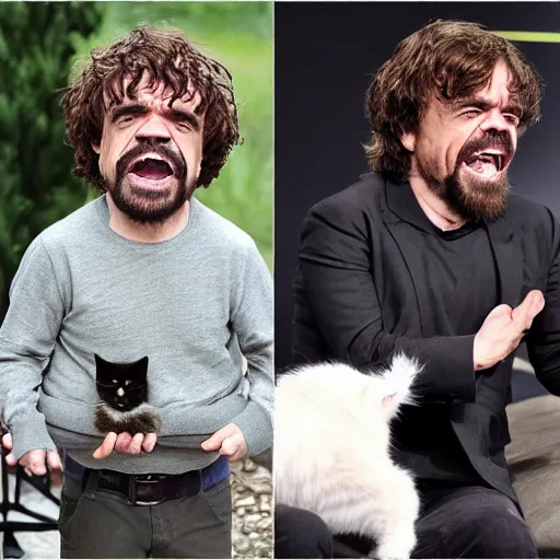 Image similar to peter dinklage laughing hysterically at a cat,