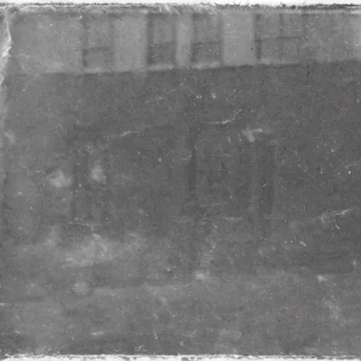 Image similar to photograph from the 1600s, faded, blurry, faded, blurry, faded, blurry, unclear, first ever photograph