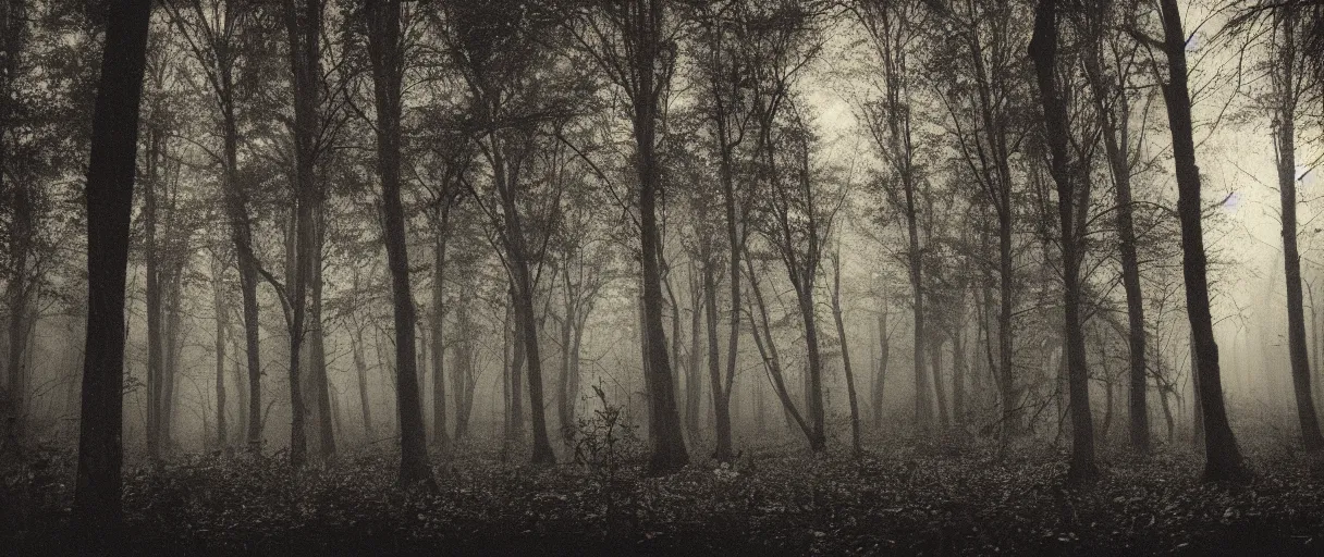 Image similar to a haunted forest under the milkway at night, film grain, large format photograph by stephen king, misty, moody