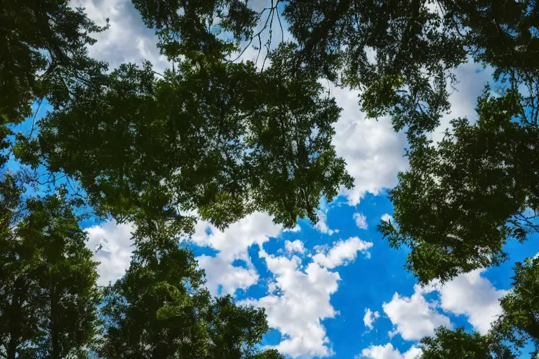 Image similar to a photo of renaissance palace, beautiful tall trees, clouds in the sky