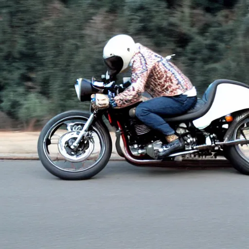 Prompt: jaguar riding a motorcycle