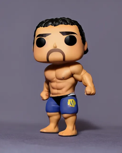 Image similar to wrestler Funko Pop. Photographic, photography