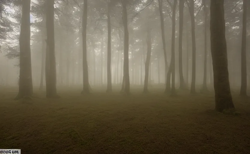 Image similar to incredible wide shot of the interior of a neolithic temple in the forest, dusk, light fog