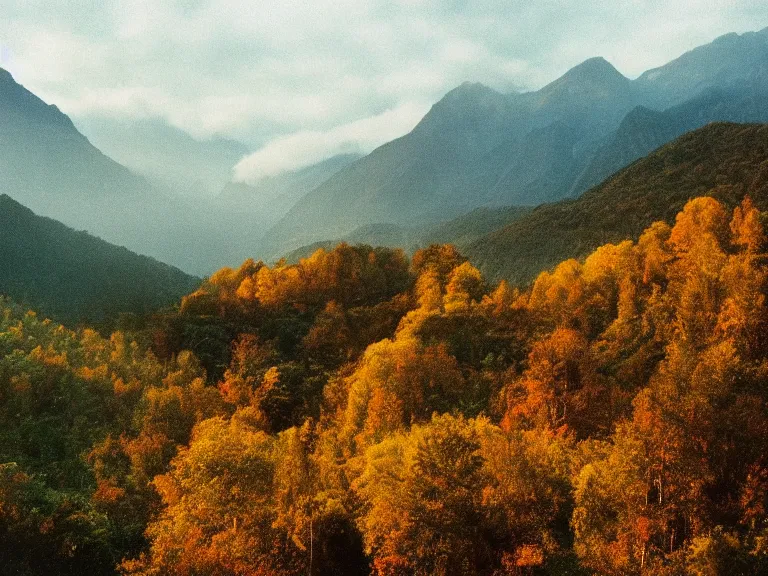 Prompt: 35mm film still magic morning light over mountains, autum, mist in valley, tropical forest, moody, by Alex grey