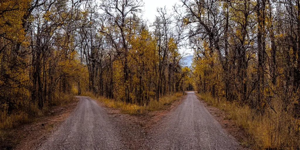 Prompt: A haunted desolate road going into an old covered wooden bridge, riverdale road Colorado
