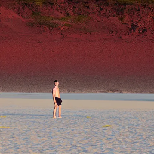 Image similar to vitalik buterin on a red beach taking a selfie