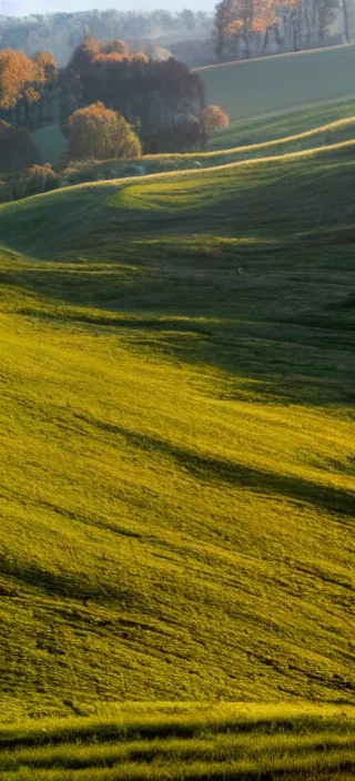 Image similar to open field of teeth, rolling hills, mist, valley, downhill