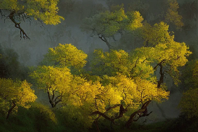 Image similar to masterpiece painting of oak trees on a hillside overlooking a creek, dramatic lighting, by filip hodas