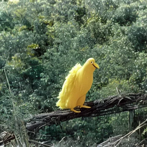 Prompt: a film still of big bird in birds ( 1 9 6 3 ) technicolor